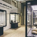 Museu Nacional de Historia Natural e Ciencia_Lisboa-018167.jpg